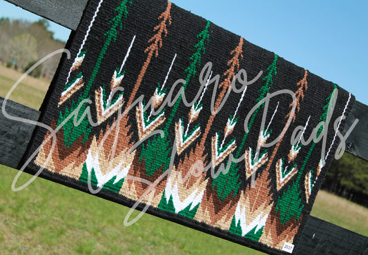 #2037 "Scout" Ranch Pad
