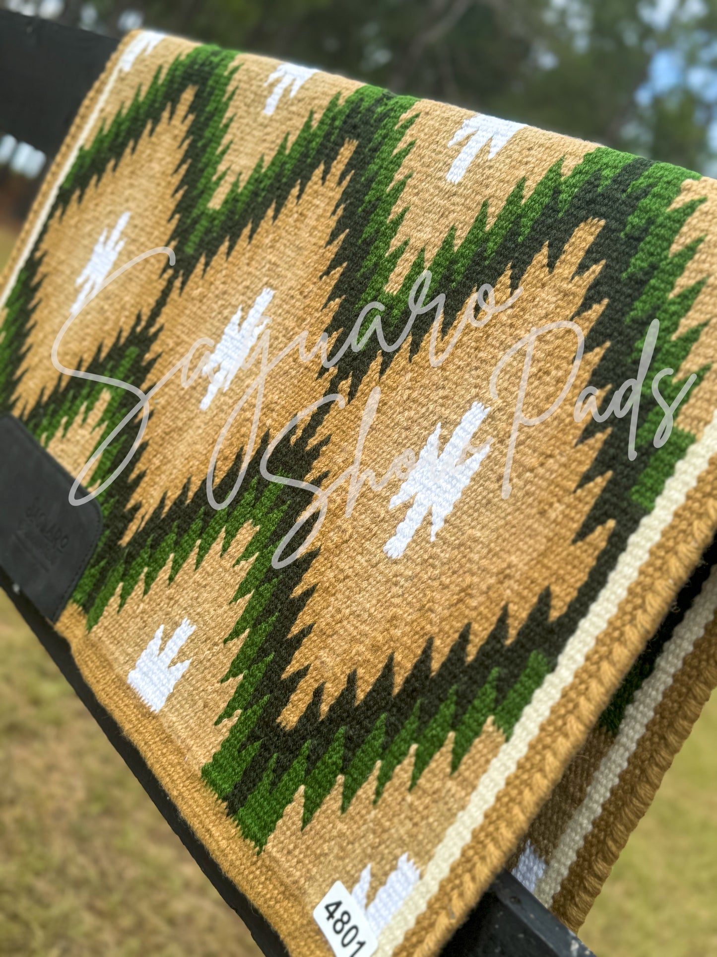 #4801 "Teagan" Ranch Pad